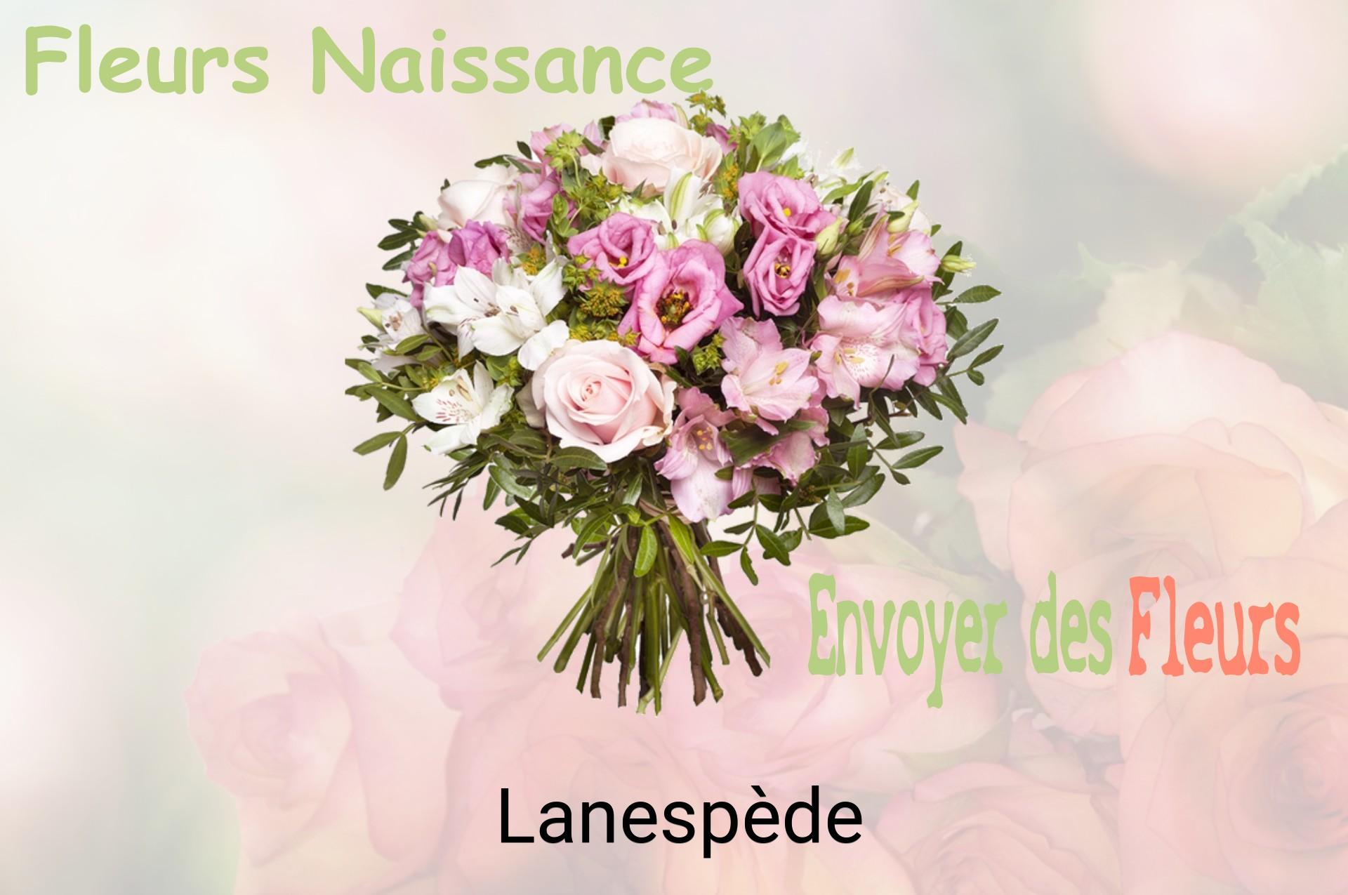Bouquet de fleurs de naissance livré à Lanespède
